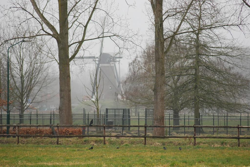 Bed & Breakfast Langlaar Nuenen Esterno foto